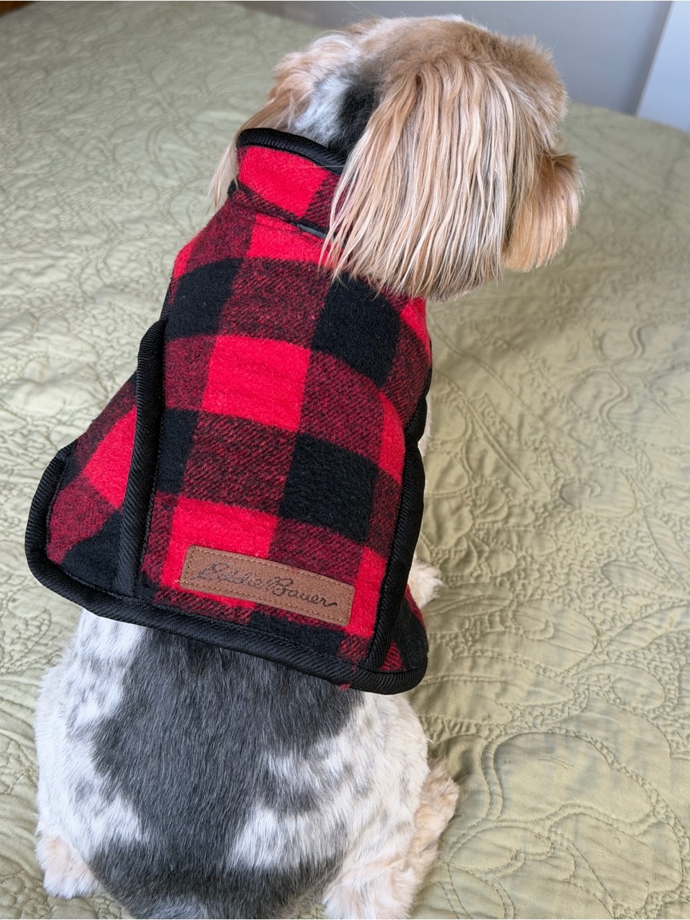 Eddie Bauer Red Black Buffalo Plaid Dog Jacket XS | Cozy Fleece Pet Coat